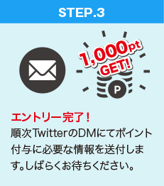 順次TwitterのDMにてポイント付与に必要な情報を送付します。