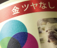 金ツヤなしの特徴