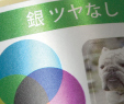 銀ツヤなしの特徴