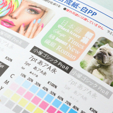 合成紙 -白PP-の特徴