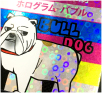 ホログラム-バブルの特徴