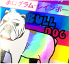ホログラム-レインボーの特徴