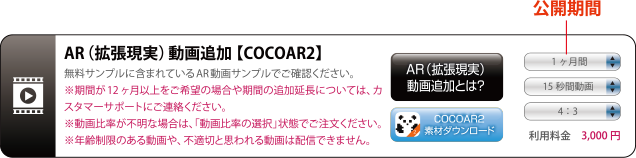 公開期間設定